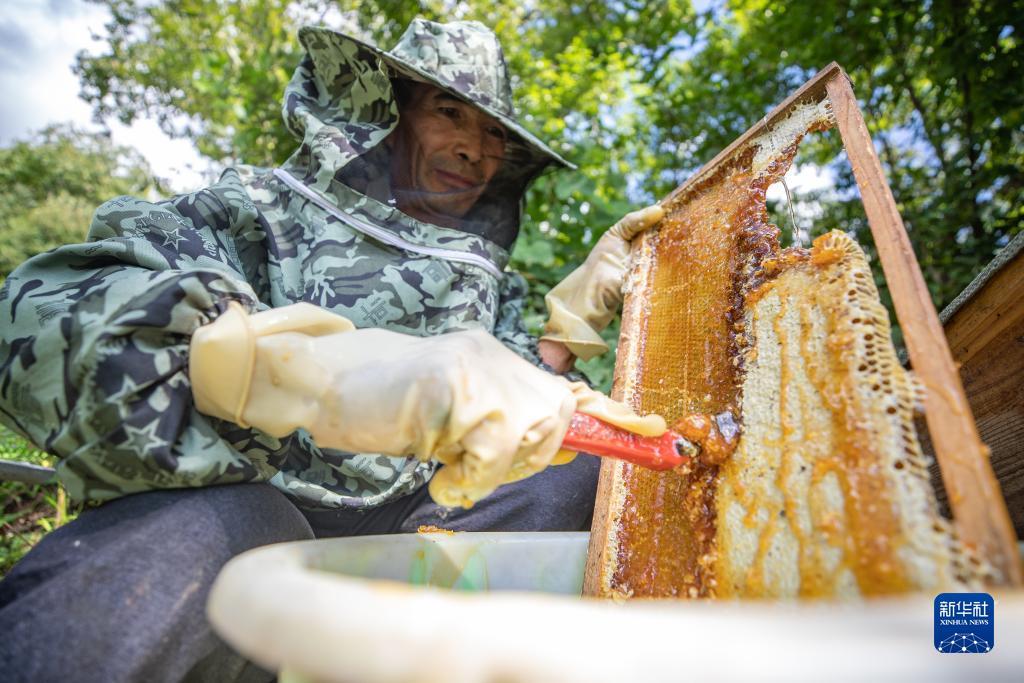 新加坡金沙网站检测